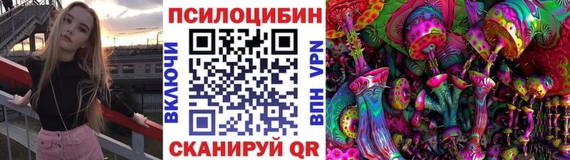 Купить  Обоянь  Псилоцибиновые грибы Psilocybine cubensis 